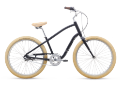Polygon Zenith Town City Bike
