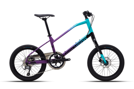 Polygon Zeta 2 Mini Velo Bike