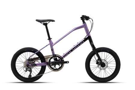 Polygon Zeta 2 Mini Velo Bike Purple