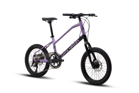 Polygon Zeta 2 Mini Velo Bike Purple