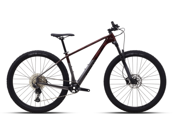 Polygon Syncline C3 Carbon Mountain Bike