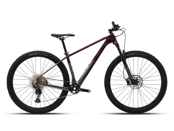 Polygon Syncline C3 Carbon Hardtail Mountain Bike