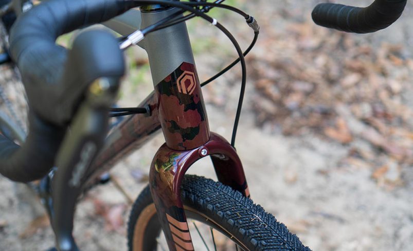 Comfortable ride with vibration-damping carbon fork