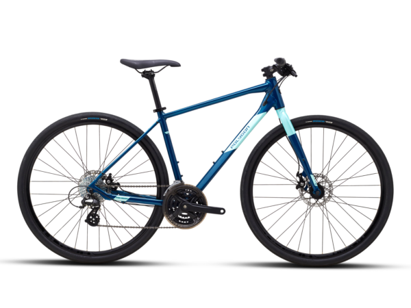 Polygon Path 2 City Bike
