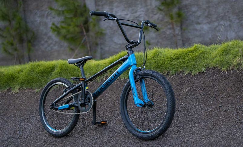 Razor Series | Polygon Bikes
