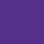Chameleon Purple