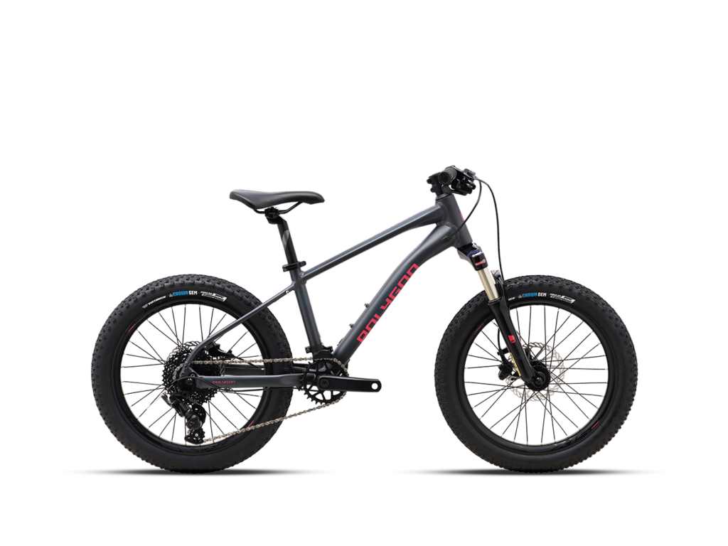 Xtrada 20 Series | Polygon Bikes US