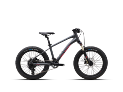 Polygon Xtrada 20 Kids Mountain Bike