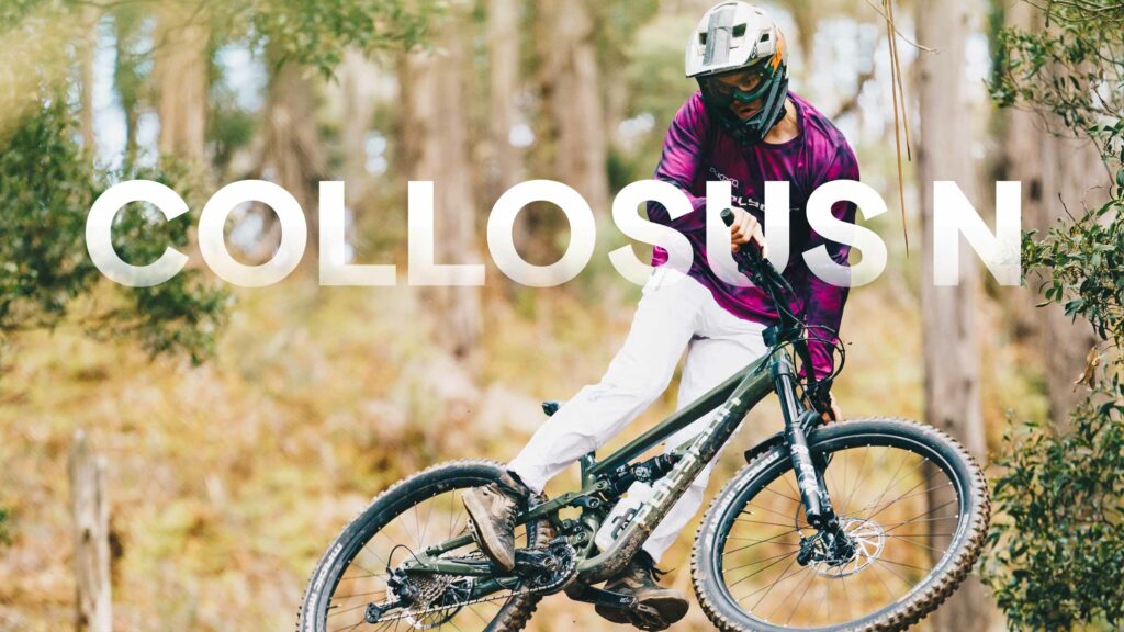 www.polygonbikes.com