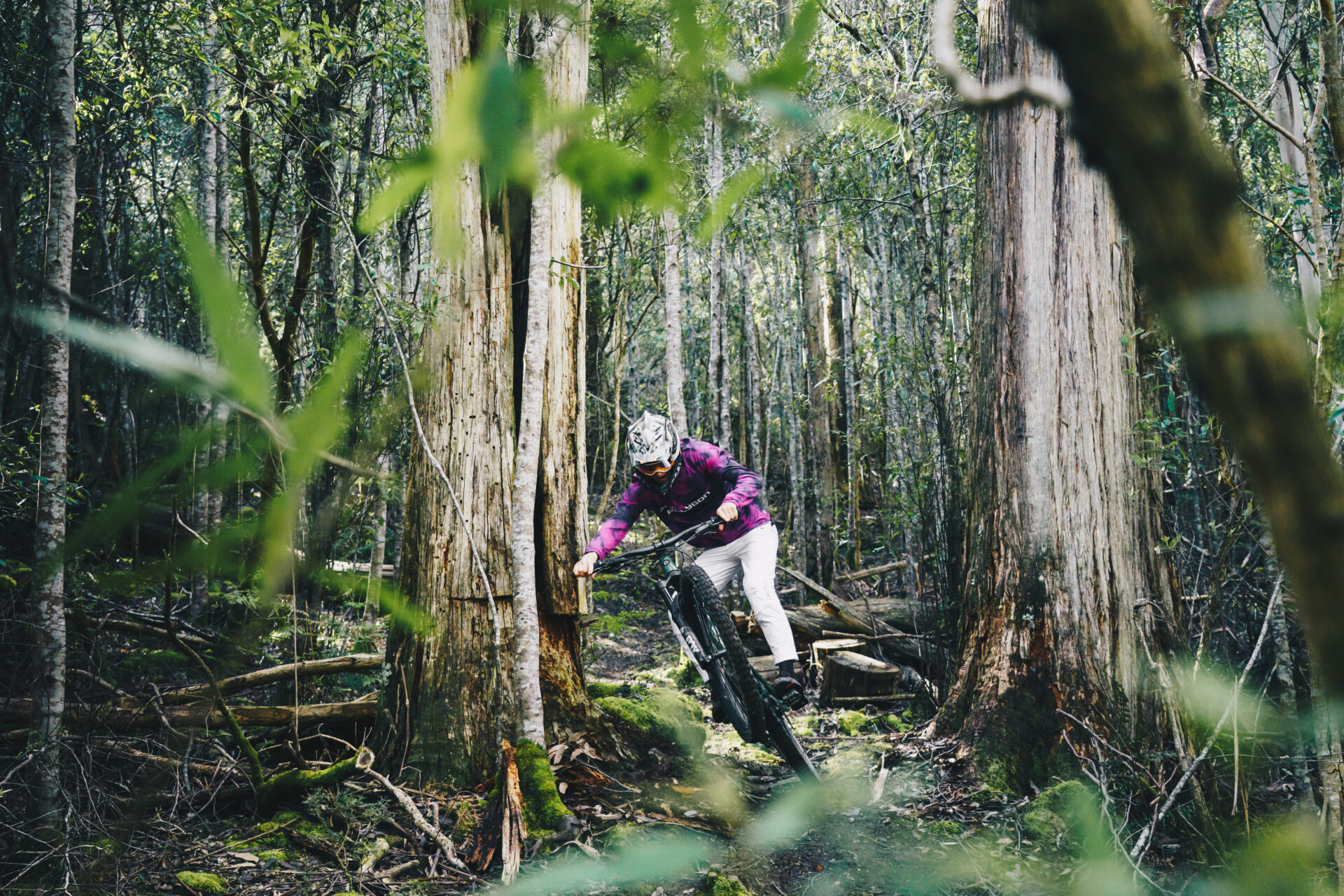 Polygon Collosus N, an enduro mountain bike to tackle any obstacles