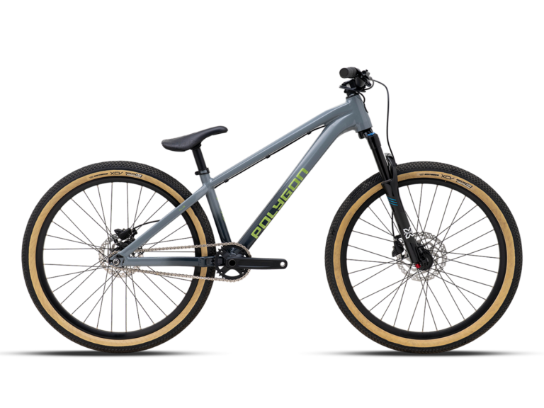 Polygon Trid Dirt Jump Bike