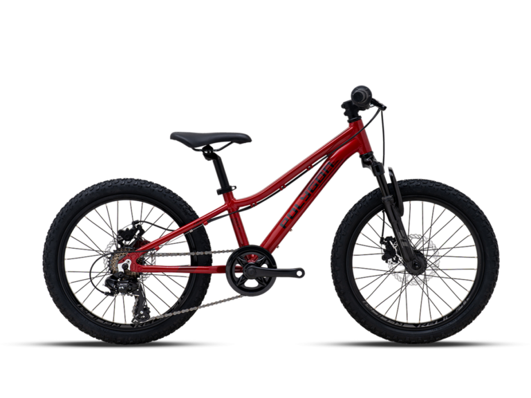Polygon Relic 20 Junior MTB Red