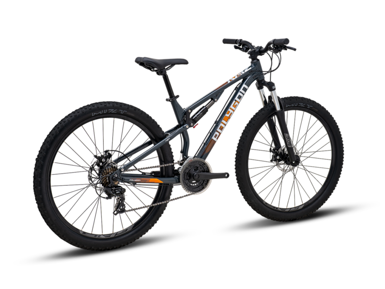 Polygon Rayz 2 Dual Suspension Mountain Bike