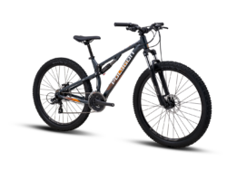 Polygon Rayz 2 Dual Suspension Mountain Bike
