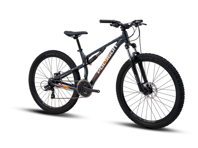 Polygon Rayz 2 Dual Suspension Mountain Bike