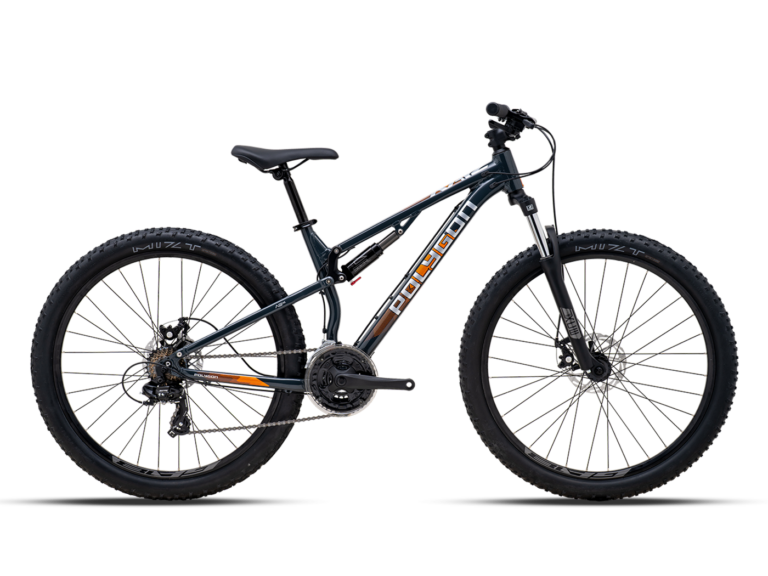 Polygon Rayz 2 Dual Suspension Mountain Bike