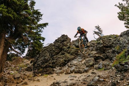 TLW Polygon Collosus 7193