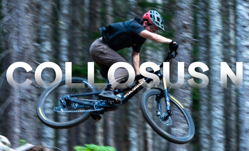 collosus N banner