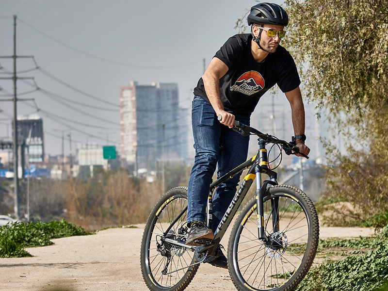 Sepeda MTB Leisure Polygon Premier 5