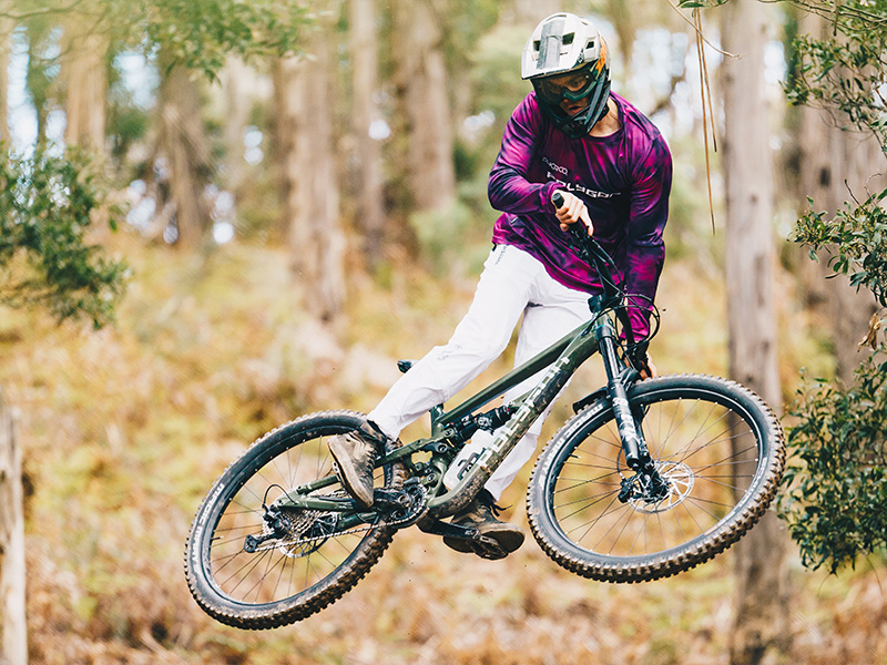 Sepeda Enduro Polygon Collosus N9