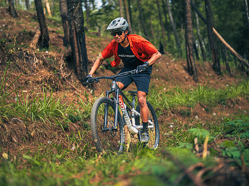 Polygon Siskiu DSE mountain bike