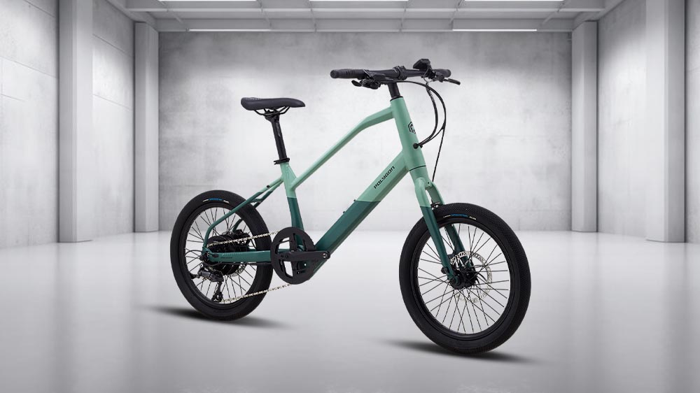 Polygon Gili Velo electric bike