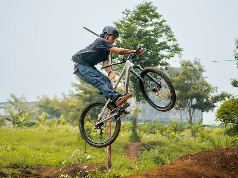 DJ bikes: Ready for a stunt ride