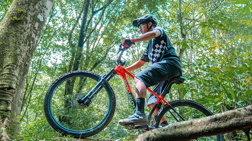 Sepeda MTB Hardtail Polygon Syncline C5