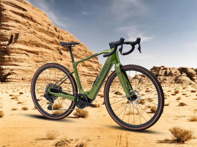 Polygon Tambora AE electric gravel bike
