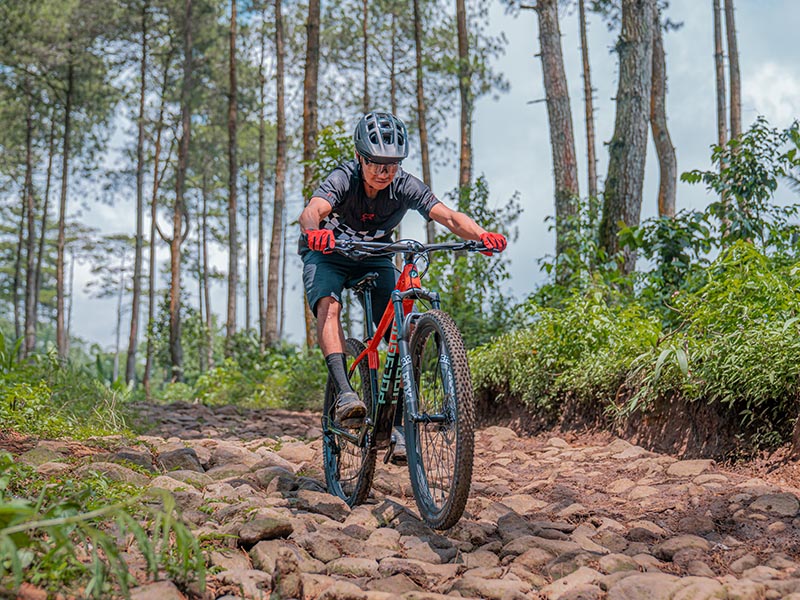Sepeda gunung cross country Polygon Syncline C5
