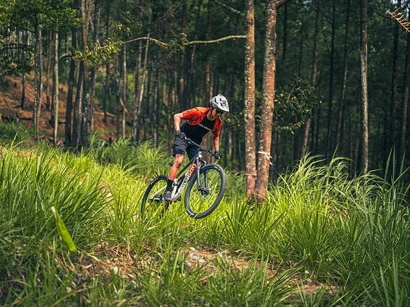 Riding A Mountain Bike Through The Forest