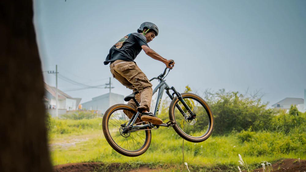 Dirt Jump BMX: Jumping full of style