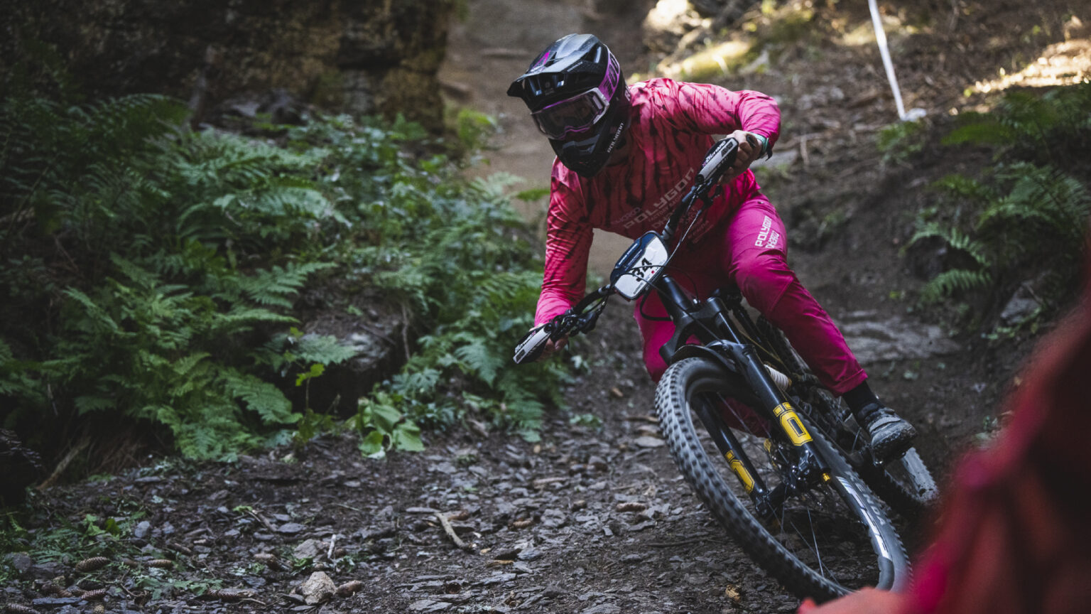 Navigating Roots With A Mountain Bike