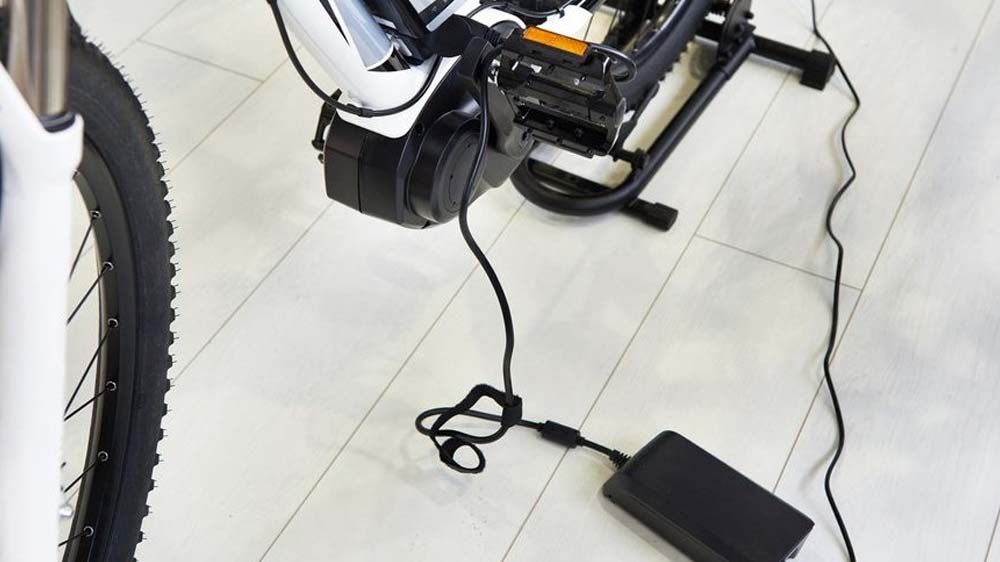 The original electric bike charger