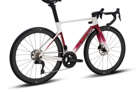Shop | Polygon Bikes US