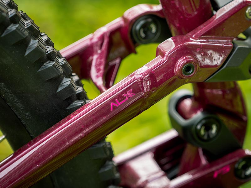 Polygon Mountain Bike’s Frame