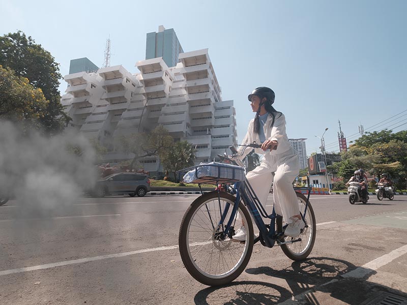 Eco Friendly Electric Bike Designed For City Commuting