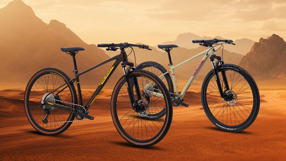Polygon Hybrid Bike Recommendations