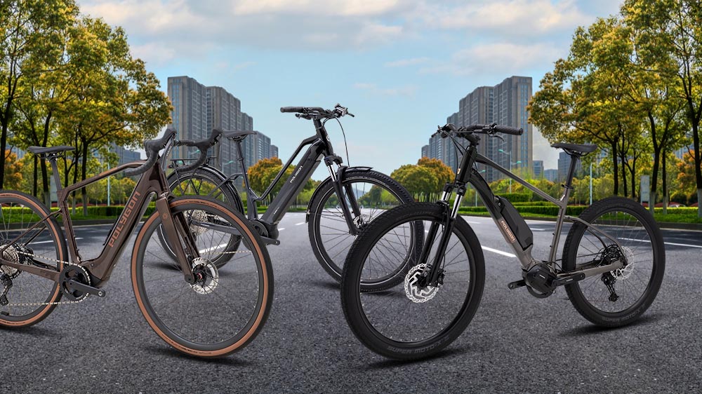 Collection of Polygon e bikes designed for long range touring