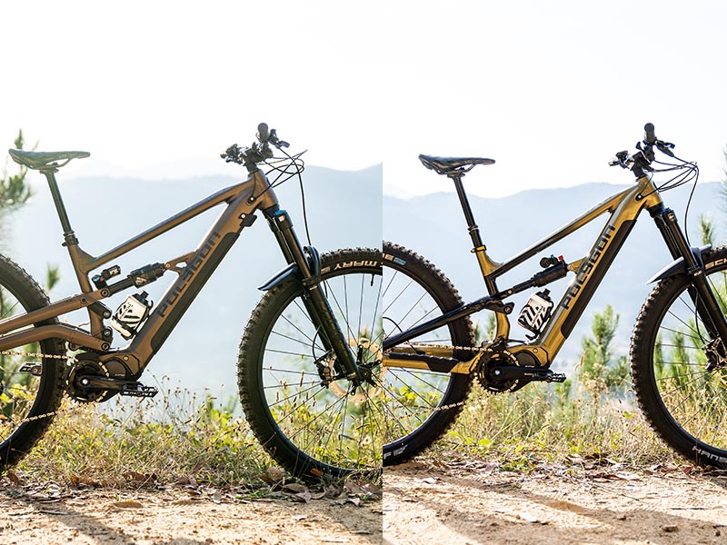Polygon Collosus Ne Vs Siskiu Te