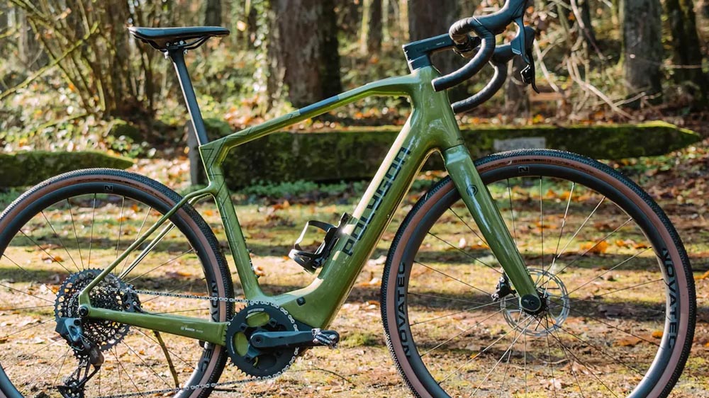 Polygon Tambora GX electric gravel bike on mixed terrain
