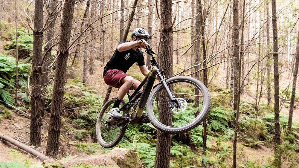 Trail riding with the Siskiu TE electric MTB