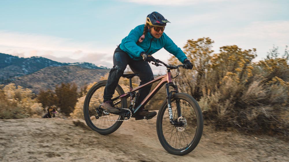 Trail riding with a DJ bike vs Hardtail MTB