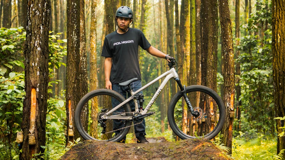 Polygon dirt jumper designed for skateparks and jumps