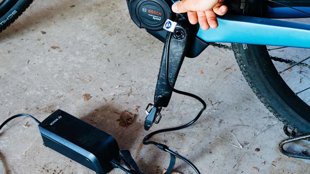 Electric Bike Battery Costs Less Than Other Vehicles