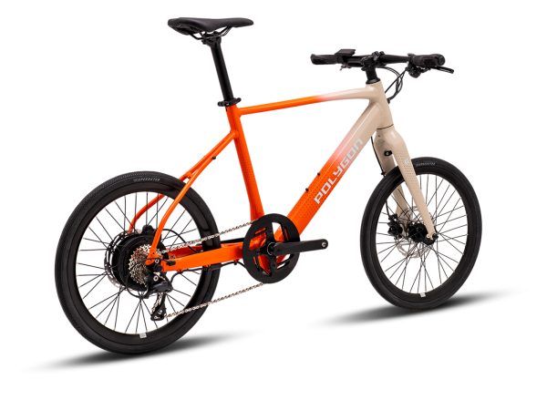 MY25 GILI DASH CREAM ORANGE RR