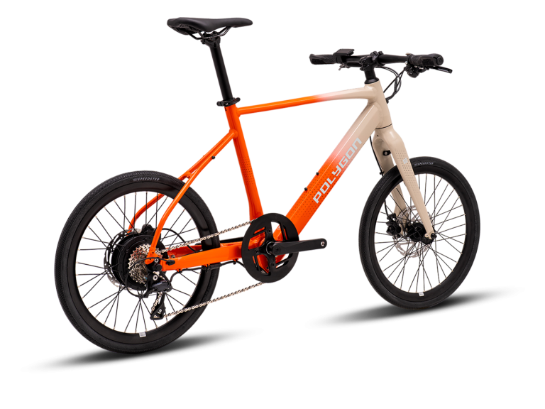 MY25 GILI DASH CREAM ORANGE RR