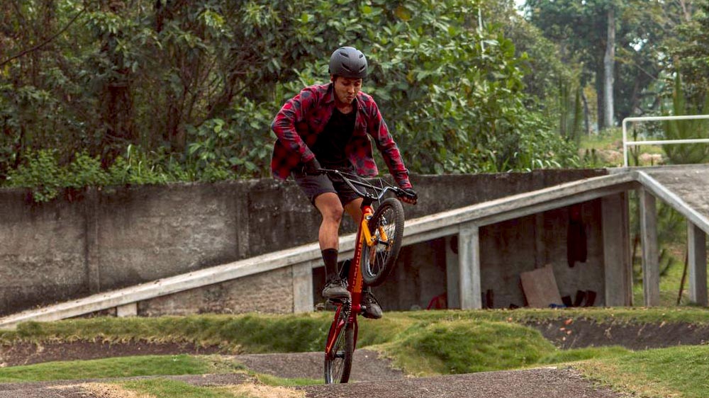 Polygon Razor Bmx Bike With Brakes