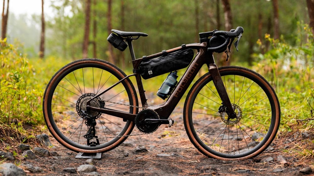 Tambora Ae Electric Gravel Bike