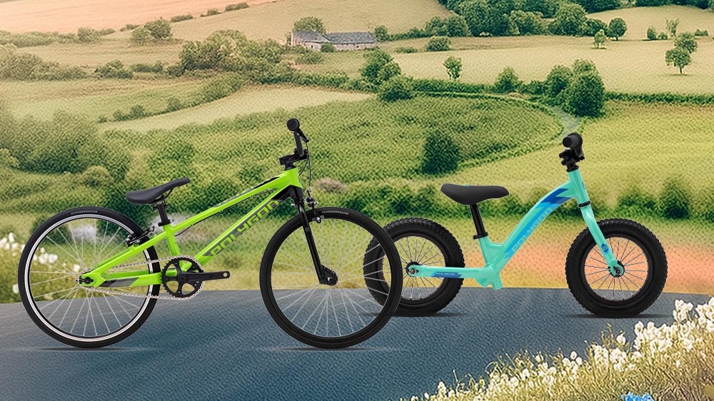 Polygon Bmx &Amp; Balance Bike